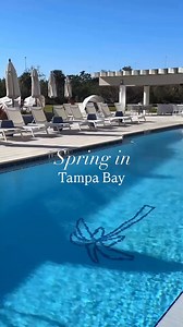 Springtime at Grand Hyatt Tampa Bay means breathtaking bay views and the perfect blend of relaxation and adventure. | Grand Hyatt