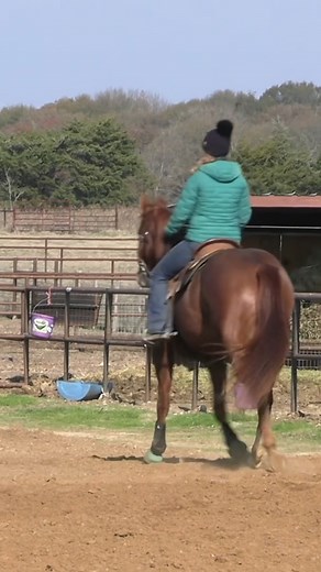 Alley issues are never fun—Jolene shows how she works horses at home that can be hot at the gate. www.betweenthereins.us | Between The Reins
