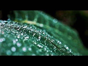 (Free) Rap Beat - "Rain" | Freestyle Beat | Rap Instrumental | Hip Hop Beats