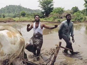 Whatever Happened to the Indian Farmers Who Won the 'Kiki Challenge'? | KQED