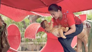 42K views · 2.8K reactions | This Christmas season finds us reflecting not only on joy and celebration, but also on the challenges we have faced together. Sa atong pagsaulog sa pagkatawo ni Kristo, hinaot nga ang iyang gugma maghatag og kahupayan sa matag pamilya. 퐀 퐛퐥퐞퐬퐬퐞퐝, 퐦퐞퐚퐧퐢퐧퐠퐟퐮퐥, 퐚퐧퐝 퐡퐨퐩퐞퐟퐮퐥 퐂퐡퐫퐢퐬퐭퐦퐚퐬 퐭퐨 퐲퐨퐮 & 퐲퐨퐮퐫 퐟퐚퐦퐢퐥퐲 殺 | Congresswoman Emmarie "Lolypop" Ouano-Dizon | Facebook