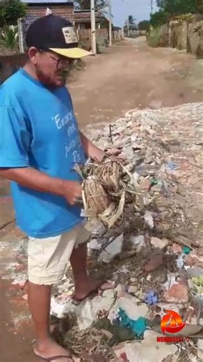 Marco Pontes on Instagram: "Moradores do Sítio Suatan denunciam a prefeitura por despejar entulhos do cemitério nos buracos das estradas carroçáveis da região. A prática tem gerado indignação entre os residentes, que apontam para o descaso e a falta de solução adequada para o problema das vias precárias. Segundo eles, o acúmulo de resíduos funerários agrava ainda mais as condições de tráfego, além de representar um desrespeito à comunidade."