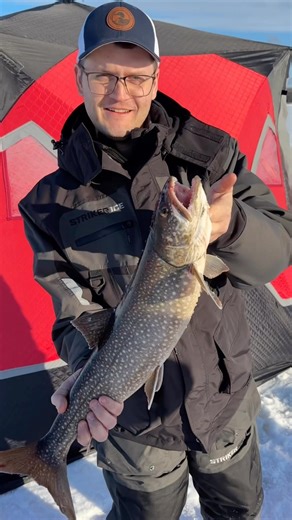 Lake Trout Ice Fishing Ontario #averageontarioanglers