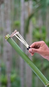 Bamboo Crafting toys #Bamboocraft #Toys #Bambooidea #theetc #DIY #Craft #Bamboo #Toy #Creations #Bambootoys | Bamboo Art