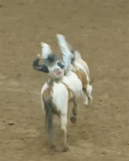 Since April 20, reigning World Champion Keenan Hayes has won $15,082 from four different rodeos. His next stop is Guymon for a matchup with Ace of Spades! 📺: Guymon Pioneer Days Rodeo – Friday, 8:30pm ET on The Cowboy Channel 📱: Stream on The Cowboy Channel | CowboyChannel
