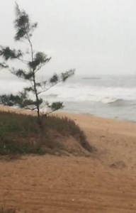 Praia do Pecado - Macaé RJ. 31/07/2020. 📲 @cfsurfhouse. Não dê mole, evite aglomerações! Preserve 🚯🗑️♻️ Aloha! Apoio: @resultrj @depositodocabeca @flysportsoficial @dadoshaper @topsurftrainer @maiaglass É só marcar @amantedosurf que seu #SurfCheck aparecerá aqui. #boletimdasondas #AmantesdoSurf #praiadopecado #macae #rj #regiaodoslagos #costadosol #surfreporter #ricosurfpecado #ricosurfmacae #surfsempre #surglagos #surflagosrj #surfbr #surftrip #surfboards #surfamor #surfing #surfer #surfstyl