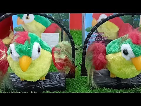 Talking Parrot Toy (Back Battery Operated Parrot Toy) : Feature and Live Demonstration