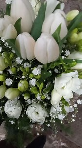 Tulipani, fresie, Ranuncoli, gipsofila | The Flower Francavilla fioristi per passione