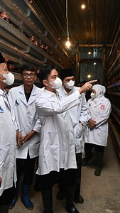 Wapres Gibran Rakabuming meninjau peternakan petelur modern PT. Sumber Kelapa Beky Farm di Blitar, Rabu (18/06/2025). Kunjungan ini menjadi bagian dari agenda kerja Wapres dalam mendukung Blitar sebagai salah satu kontributor terbesar telur ayam konsumsi nasional. Wapres mendorong agar peternakan rakyat dan swasta di daerah terus memperkuat kapasitasnya melalui adopsi teknologi, peningkatan manajemen produksi, serta kolaborasi dengan lembaga pendidikan vokasi dan riset. Penguatan hilirisasi dan 