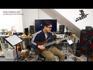 Sandberg Classic macassar ebony top 5strings