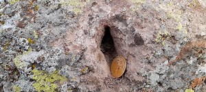 25K views · 687 reactions | DEFİNE KAYA KASASI AÇMA ANI HAZİNE treasure find momen | Define işaretleri atölyesi | Facebook