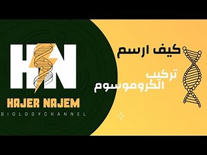 رسم تركيب الكروموسوم |اول متوسط #إحياء
