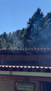 37K views · 962 reactions | Mariposa Monarca Sierra Chincua temporada 2023-2024 de noviembre a marzo  | Luisito Martínez | Facebook