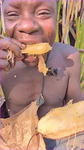 Wow! 😲 That’s amazing root food! Enjoying dishes from the tribe! #reelfb #life #adventure #followers #enjoy #BoomChallenge #Boomnow #Toptrending | Hadzabe Tribe Woman