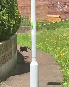 2K views · 39 reactions | Disney movie  | FM Gospel Radio Broadcasting Network | Facebook