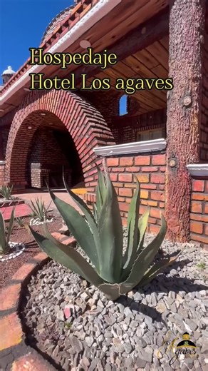 ¡Viva México! 🇲🇽 Te espera una noche mexicana increible para toda la familia Adultos $390 | Niños $290 (3 a 9 años) Reserva ya y pregunta por nuestro hospedaje en promoción ¡Todo en el mismo lugar! 📍 Nos encontramos en Tepotzotlán, Estado de México, a solo 5 minutos de Arcos del Sitio. Carretera Arcos del sitio-Dolores Km 5, Cañada de Cisneros, 54650 Méx. | Los Agaves Hotel & SPA