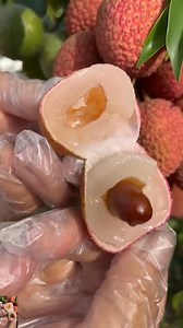 218K views · 3.4K reactions | Lychee Super red | Nueva Ecija Grafted fruit trees | Facebook