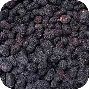 [Hot Item] IQF Frozen Mulberry Origin China for Global Export Mulberries