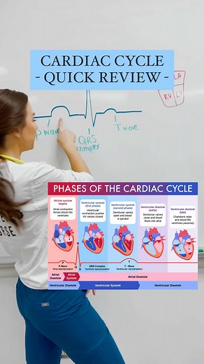 Barbara | BSN, RN on Instagram: "PQRS 🤔⁣ ⁣ ❤️ P wave – represents atrial depolarization ⁣ ⁣ ❤️ PR segment – represents the AV node pause (allows for atrial kick and prevents rapid conduction rates) ⁣ ⁣ ❤️ QRS complex – represents ventricular depolarization ⁣ ⁣ ❤️ ST segment – represents early ventricular repolarization ⁣ ⁣ ❤️ T wave – represents ventricular repolarization"