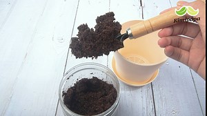 Indoor Herb Garden Kit - Kitchen Window Garden Herb Growing Kit - 10 Herb Seed Starter Kit with Tool Set, Pots, Soil, and Growing Guide, Great Gift Ideas for Gardening Enthusiasts