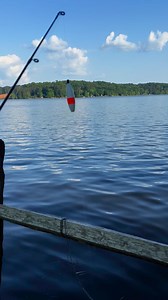 Big Pissers!!! | Big Po Music