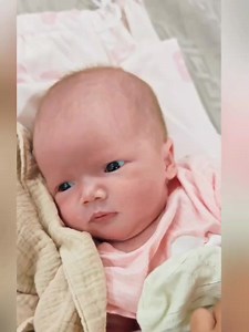 这小妞的眼珠子竟然是带灰色的 很特别的颜色 只有下巴子跟妈妈很像 其他的就是ang mo kia的样子 少少的金色头毛 圆圆的大脑袋 粉嫩的肌肤 难得可以看到她醒着 我太幸福了 又多了一个可爱的女娃🥰 谁能比我幸运又幸福🥰 #自己创造一个家 #我们这一家 #女儿 #两个女儿的妈 #幸福 | 1594 Dianes