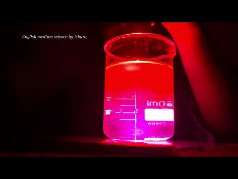 Action of phenolphthalein with bases and acids😍 #science #viral #experiment #youtubeshorts