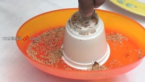 Tray Bird Feeder,how to make Tray Bird Feeder
