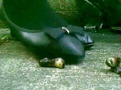 ballet flats crushing snails