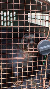 What we got up to yesterday! ❤ #sealrelease #goodbye #seals #exploris | Exploris Aquarium