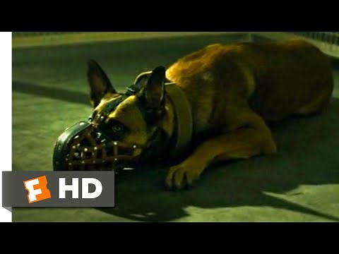 Dog (2022) - Picking up the Dog Scene (1/10) | Movieclips
