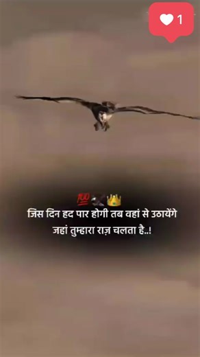 Gopal Ram on Instagram