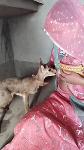 1.3K views · 7 comments | Funny Funny video 2024 #imissyou #Crime #cr7 #messi #japan #lovely #USA #events #women #iloveyou #blackpink Hot Video | Karl Jacobs | Facebook