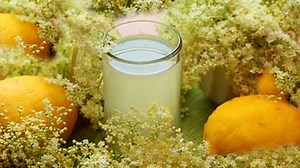 Cum sa prepari cel mai bun sirop din flori de soc