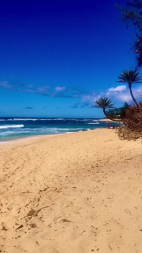 54 reactions | Sunset Beach. 酪 #sunsetbeach #waves #oahu #hawaii #aloha #oceanview #beachvibes | Darrin Davis | Facebook