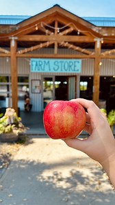 2K views · 44 reactions | ✨It’s HONEYCRISP SEASON!  To kick off...