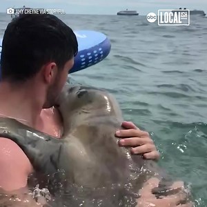 This swimmer got an adorable hug from a surprisingly friendly seal! | Localish