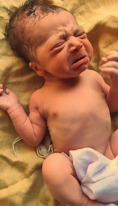 #newbornphotoprop #newbornstudio #newbornbabyboy #newbornfashion #newbornportraits #newbornbabies #newbornfoto #newbornoutfit #newbornfotografie #newborncare #newbornpic #newbornphotograpy #newbornwhisperer #newbornessentials #newbornworkshop #newbornset | Muya Reels