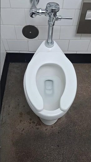 2023 Kohler Highcliff Ultra Flushing