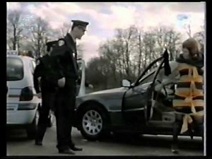 "Absolutely Fabulous" - FRENCH version!