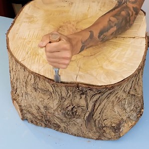 226K views · 611 reactions | Bringing Nature Indoors with a Tree Bark Lamp | Wood Mood | Facebook