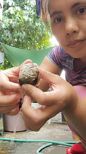 Rotten bulb #farming #viralreelsシ #riza | Riza Neri