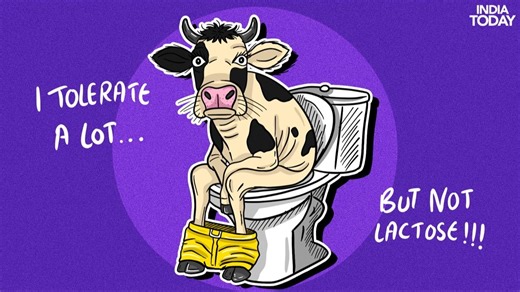 Most Indians have always been lactose intolerant, we just didn't know it