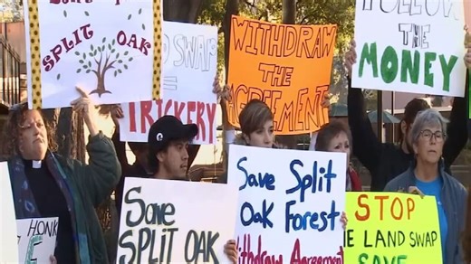 Survey stakes appear in Split Oak Forest as county worries road project is ‘done deal’