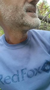 Vara prin zone subalpine | Sergiu Olteanu