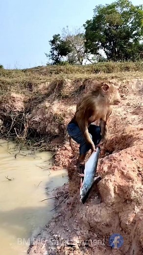 10K views · 324 reactions | Local BIG fish part -2  #Bishnupriya #comedy #show #bishnupriyamanipuri #funny #shorts #bmbigentertainment | BM BIG Entertainment | Facebook