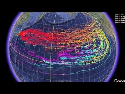 Fukushima Radiation Spread