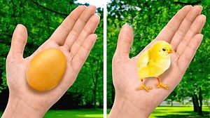 Smart is the New Sexy on Reels