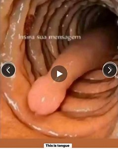 1.6M views · 13K reactions | This happened in Nigeria ...