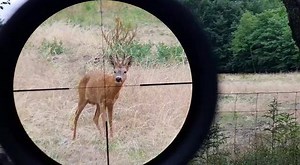 On the hunt with Cebl_hunt and his Nighthunter 3-15x56 in Denmark! 🇩🇰 --- Das Nighthunter 3-15x56 im Einsatz mit Cebl_hunt in Dänemark! 🇩🇰 | Steiner Hunting